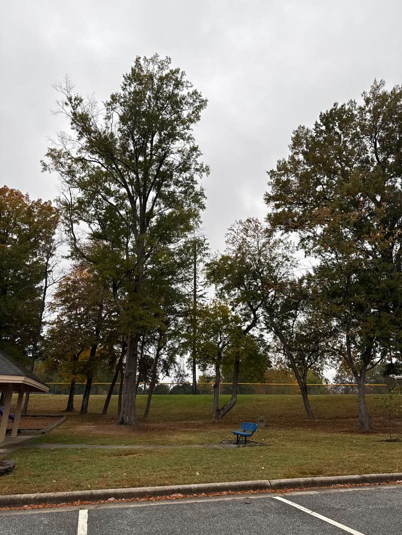 walking near me in Deep River Community Park in autumn