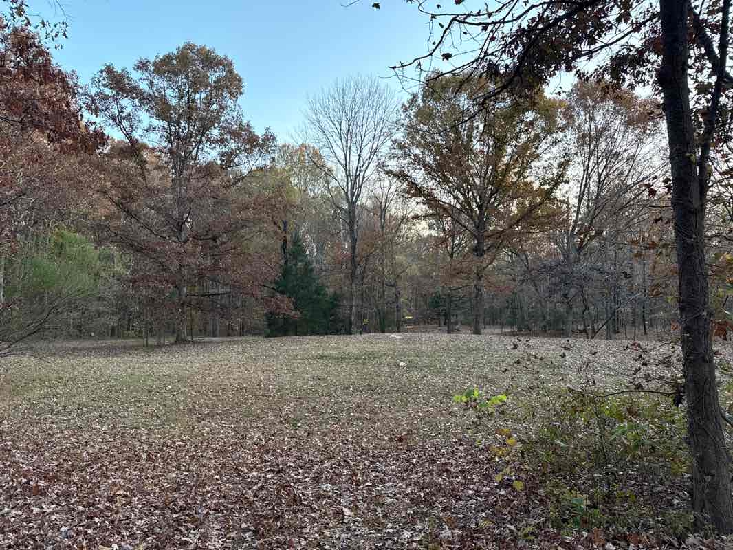 walking near me in Elon Homes Regional Park in autumn