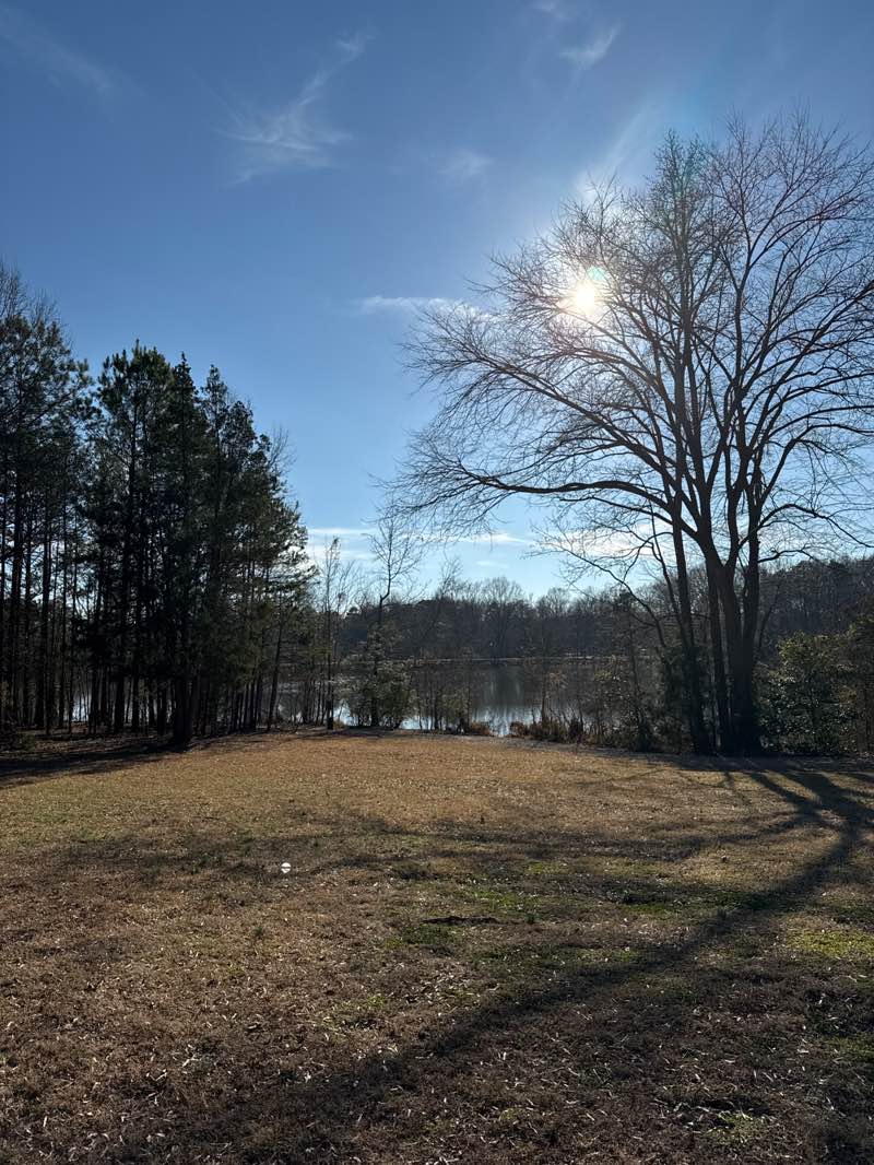 walking near me in Marvin Efird Park in winter