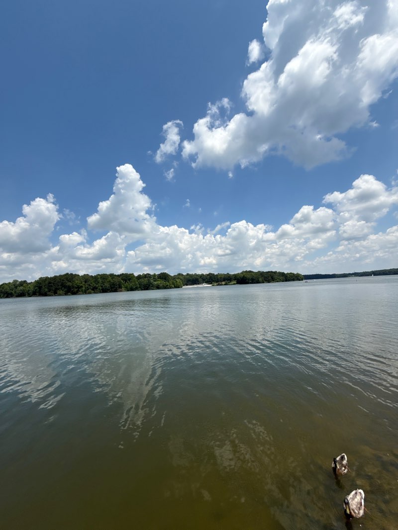 walking near me in Oak Hollow Park in summer