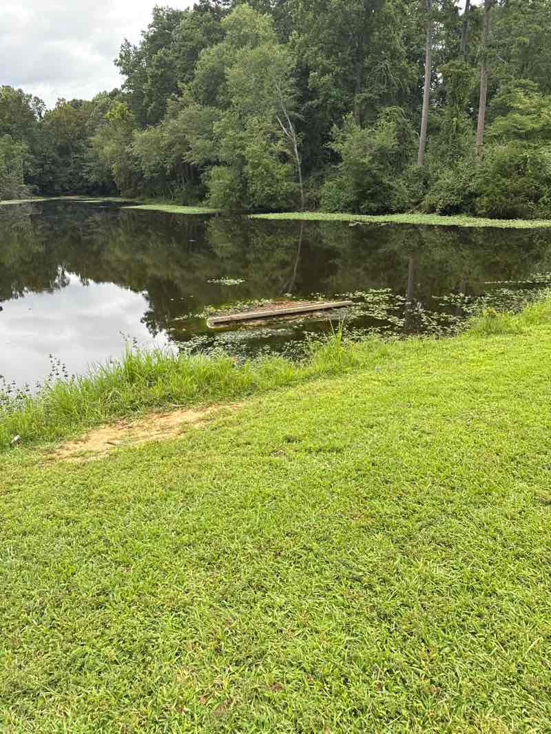 walking near me in Gibson Park in autumn