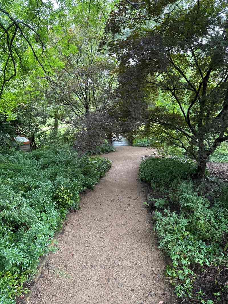 walking near me in Elizabeth Holmes Hurley Mem. Park in autumn
