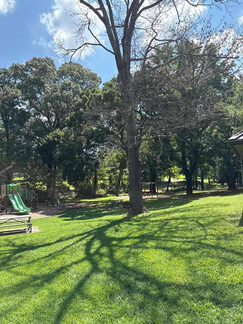 walking near me in Washington Terrace Park in autumn