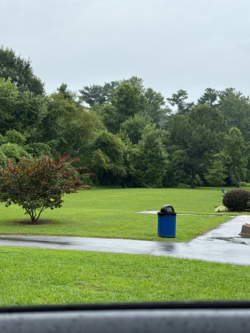 walking near me in Council Street Park in autumn