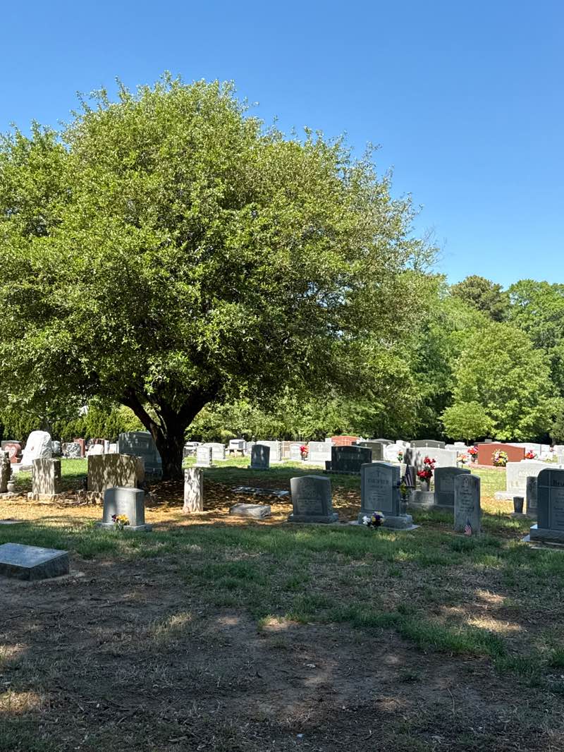 walking near me in Chapel Hill Memorial Cemetery in spring