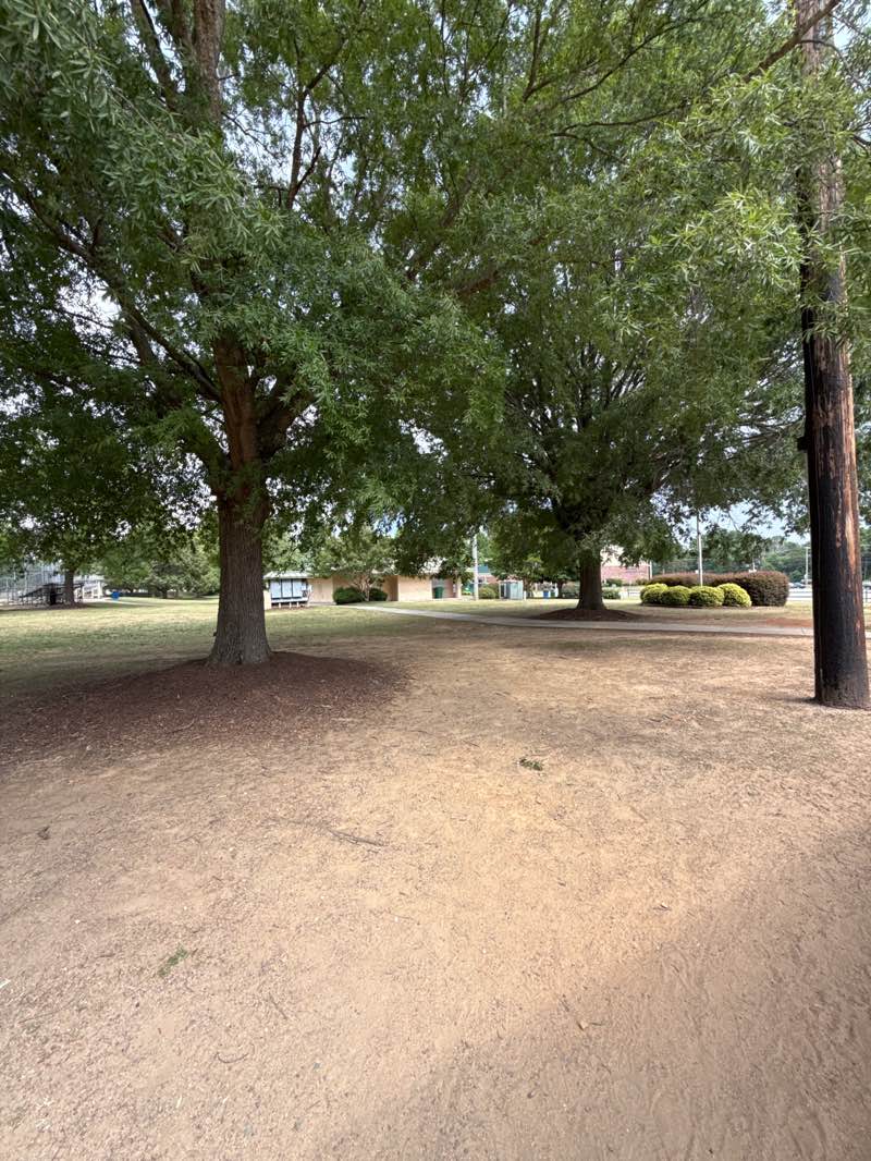 walking near me in Deep River Community Park in summer