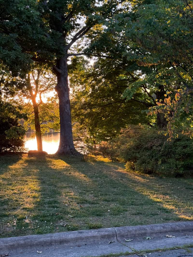 walking near me in Oak Hollow Park in spring