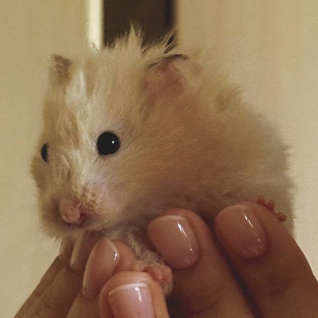 Александра🌪️🌪️ icon