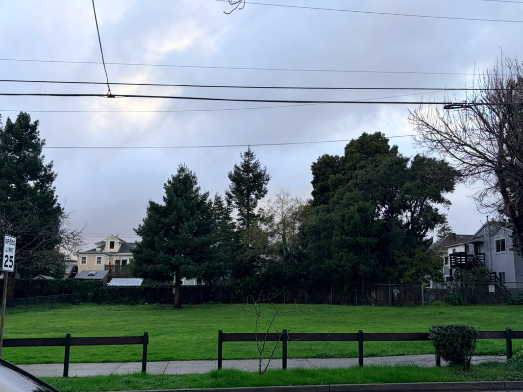 walking near me in Ohlone Park in winter
