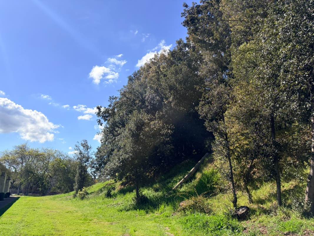 walking near me in Meher Park in spring
