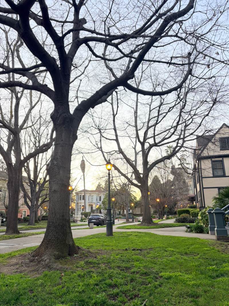 walking near me in Preservation Park in spring