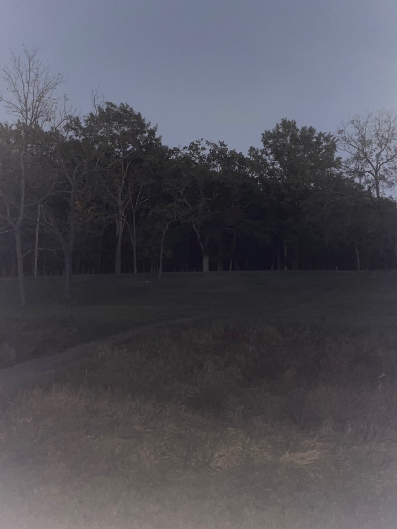 walking near me in Hillandale Park in autumn