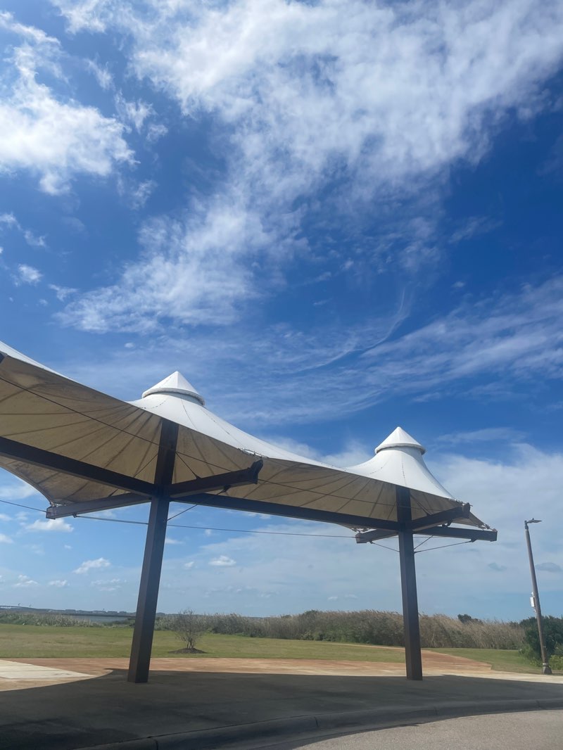 walking near me in OBX Festival in autumn