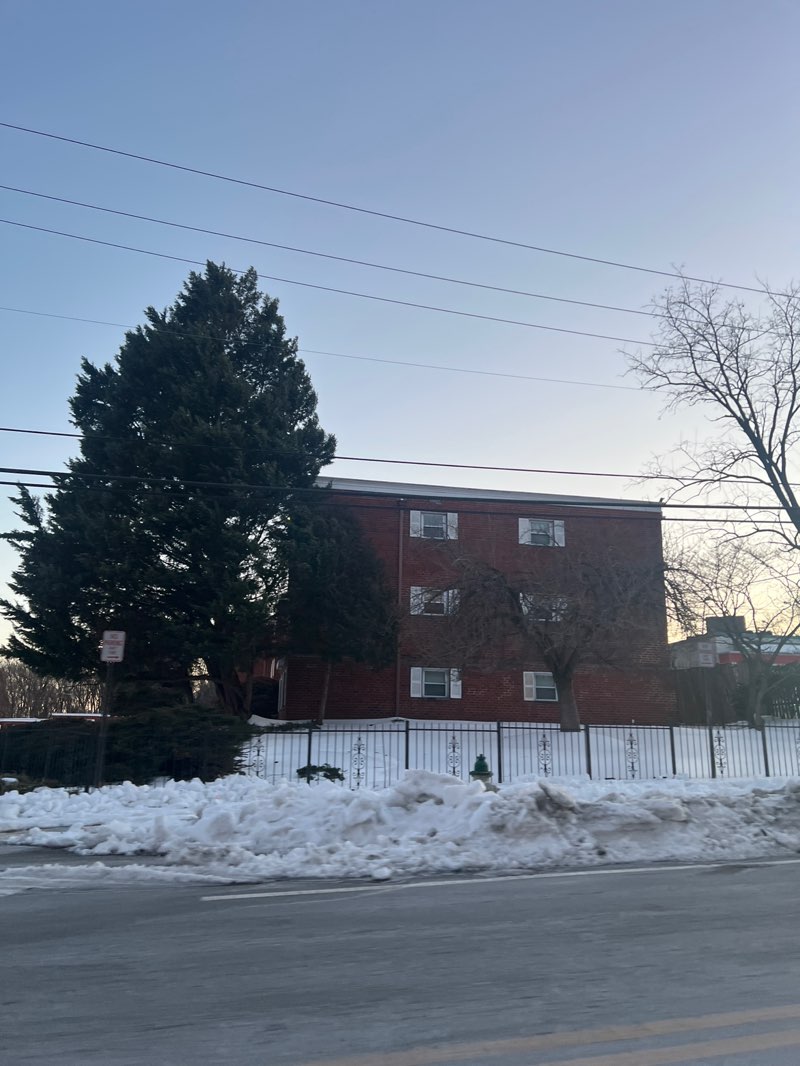 walking near me in Hamilton Park in winter