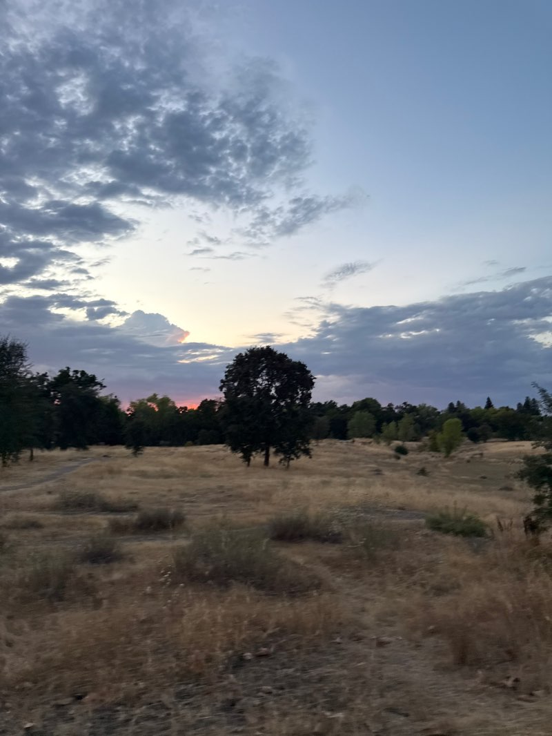 walking near me in Verbena Fields in autumn