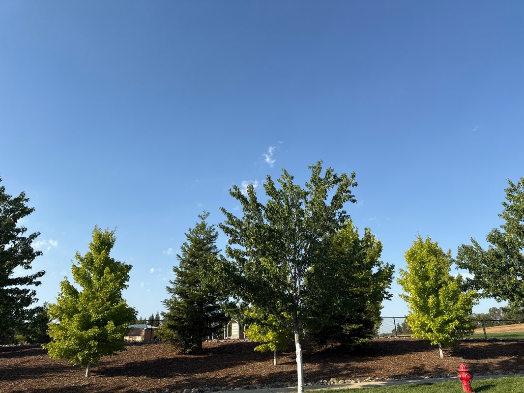 walking near me in Highland Park Neighborhood Park in autumn