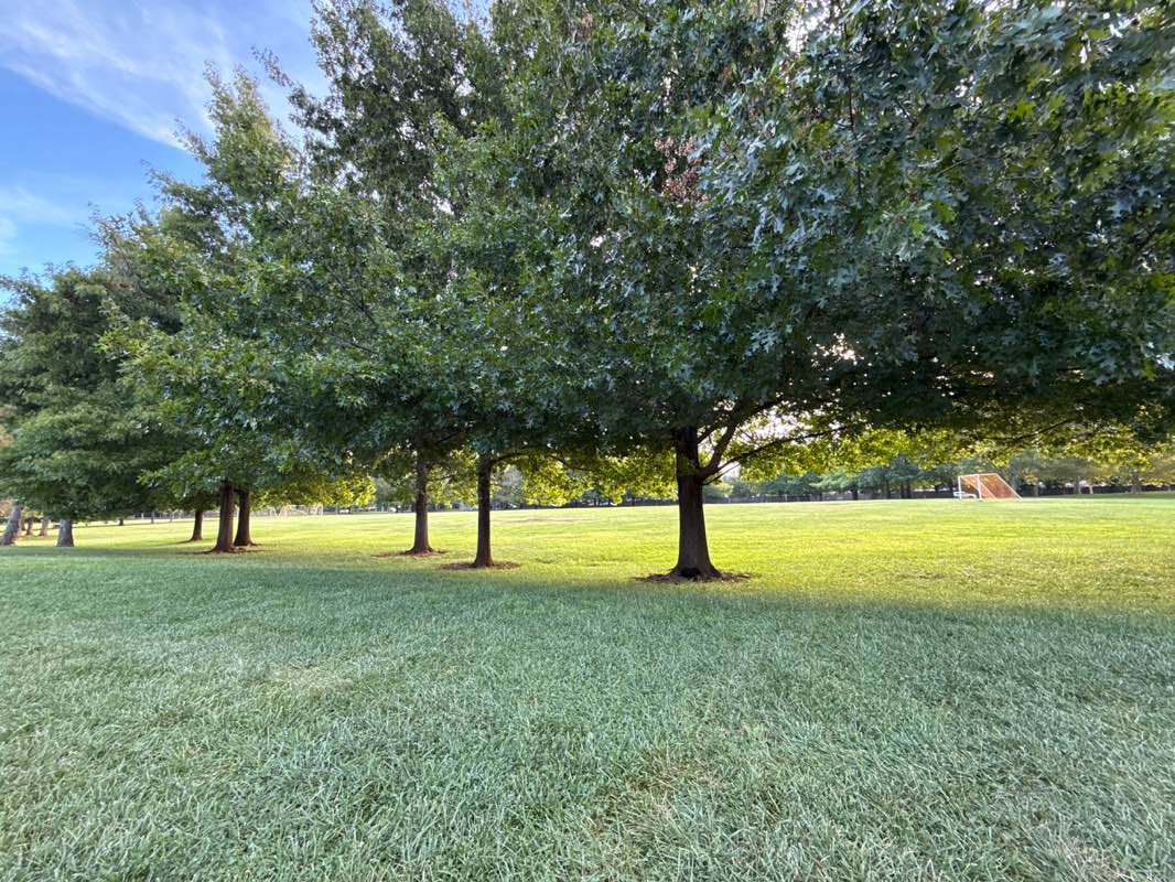 walking near me in Enterprise Community Park in autumn