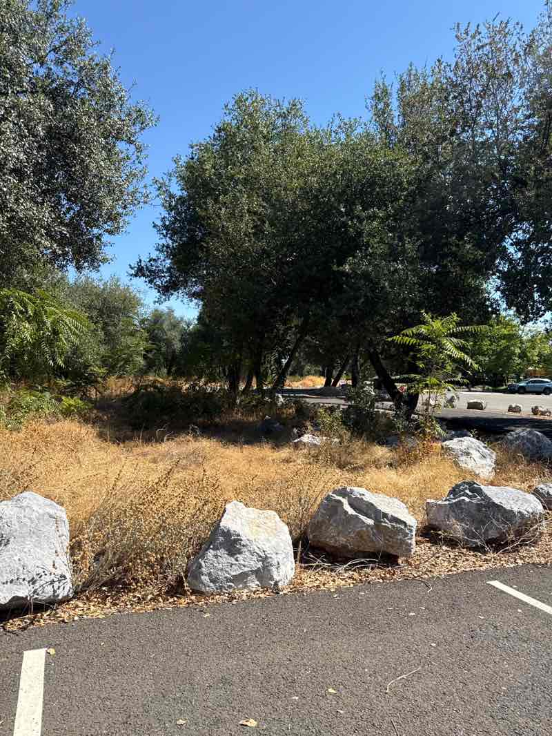 walking near me in Rivercrest Park in autumn