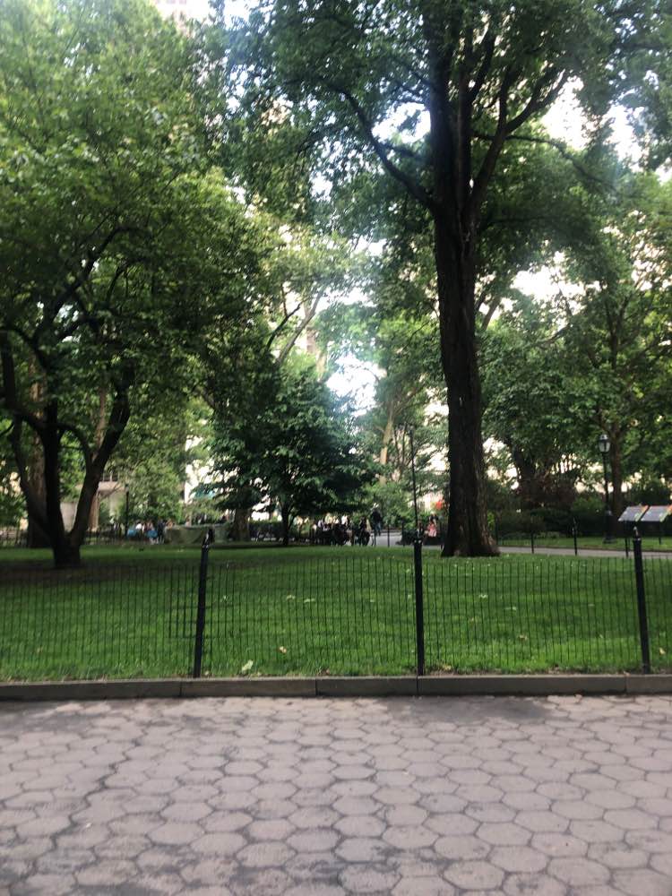 walking near me in Madison Square Park in summer