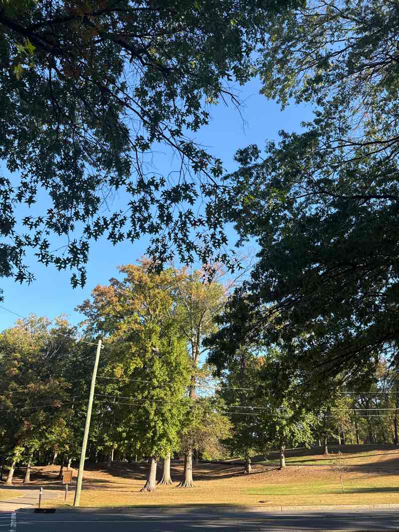 walking near me in Roosevelt Park in autumn