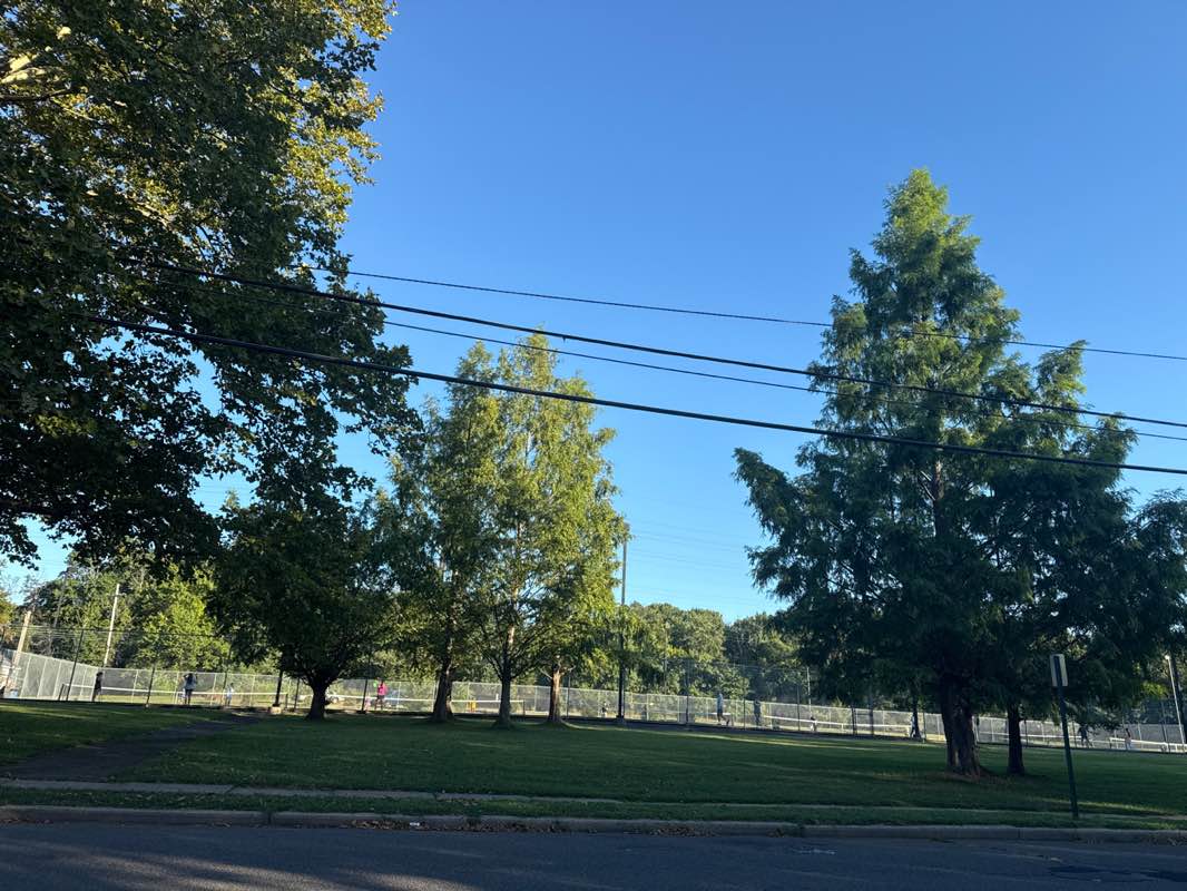 walking near me in Oakland Park in autumn