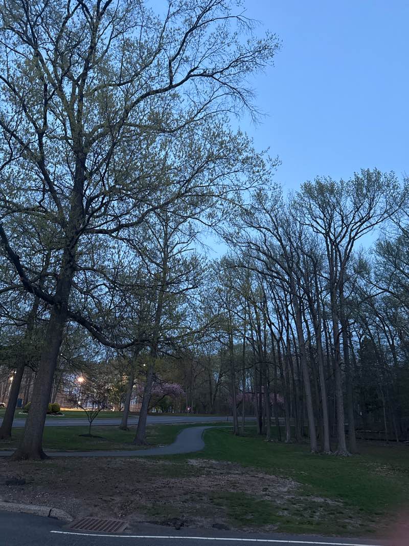 walking near me in Roosevelt Park in spring
