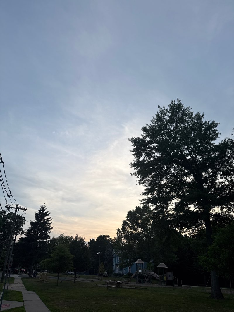 walking near me in Olmezer Park in summer