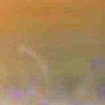 Татьяна Сильванович icon