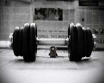 Ivane 🇬🇪 profile