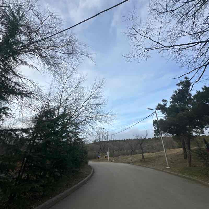 Ivane 🇬🇪 post 1