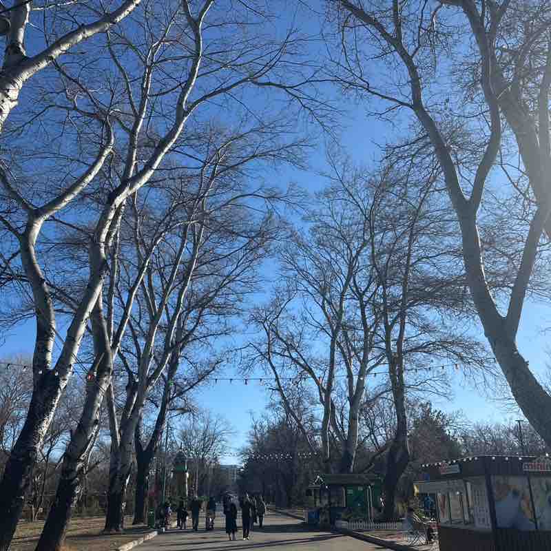 Ivane 🇬🇪 post 1