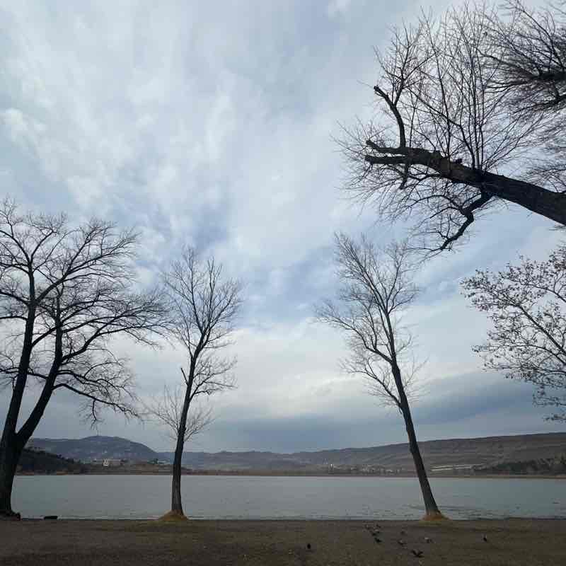 Ivane 🇬🇪 post 1