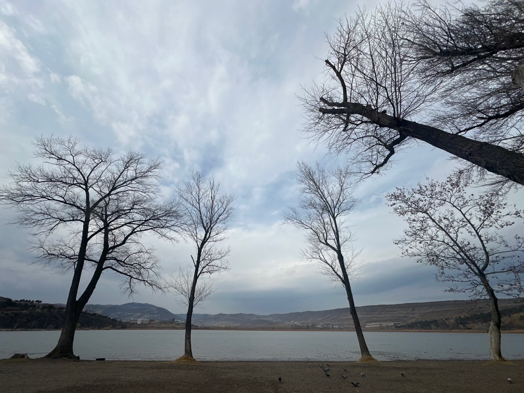 walking near me in ლისი რეკრეაცია in winter