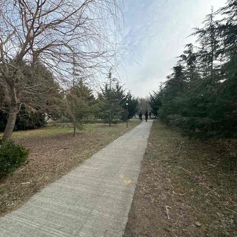 Ivane 🇬🇪 post 1