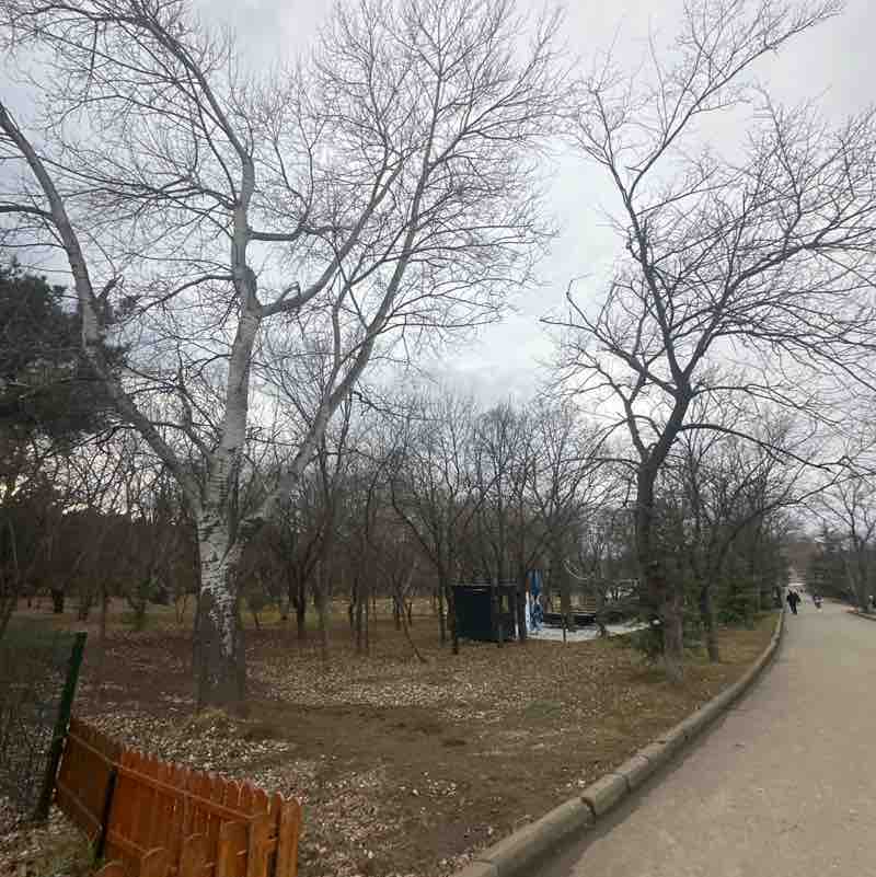 Ivane 🇬🇪 post 1