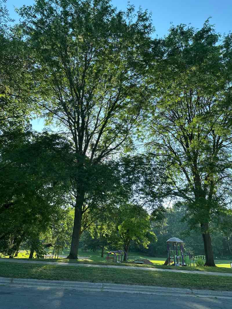 walking near me in Lucia Crest Park in summer