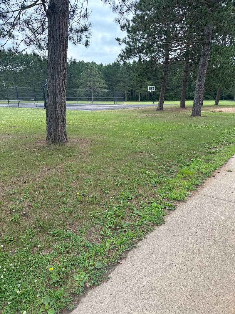 walking near me in Evergreen Villa Park in summer