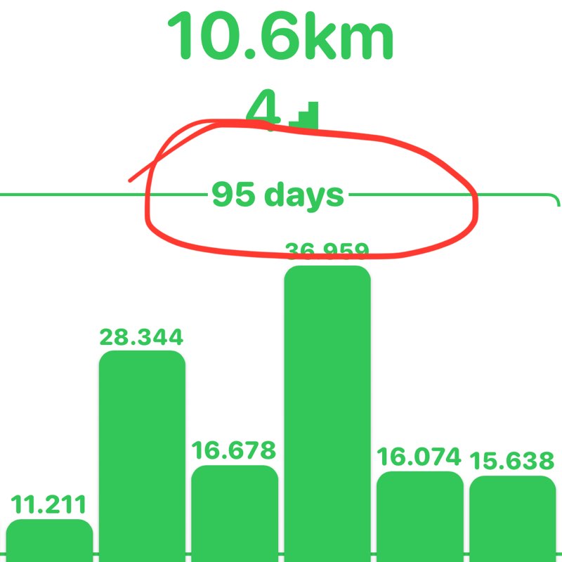 VANRUS106 VANRUS106 Начать никогда не поздно! post image