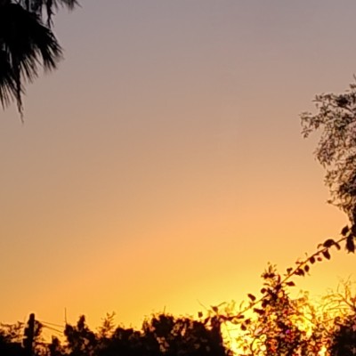 January 5k Race #4 José Sepúlveda (Trampero59) post image