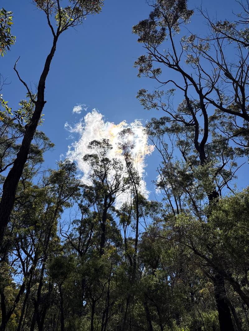 walking near me in Bargo State Conservation Area in spring