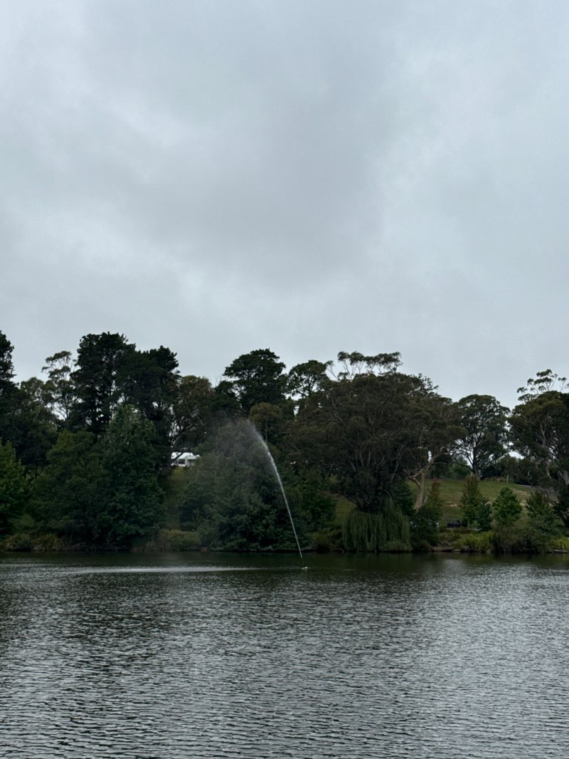 walking near me in Lake Alexandra Reserve in summer