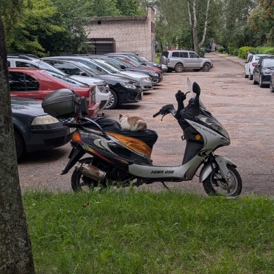 In walk we trust Irina Rasolko post image