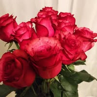 Марина Осипова icon