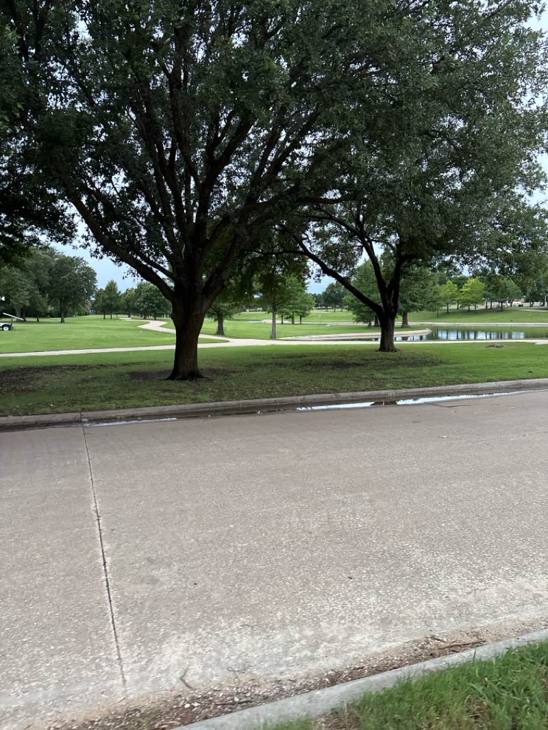 walking near me in Huffhines Park in summer