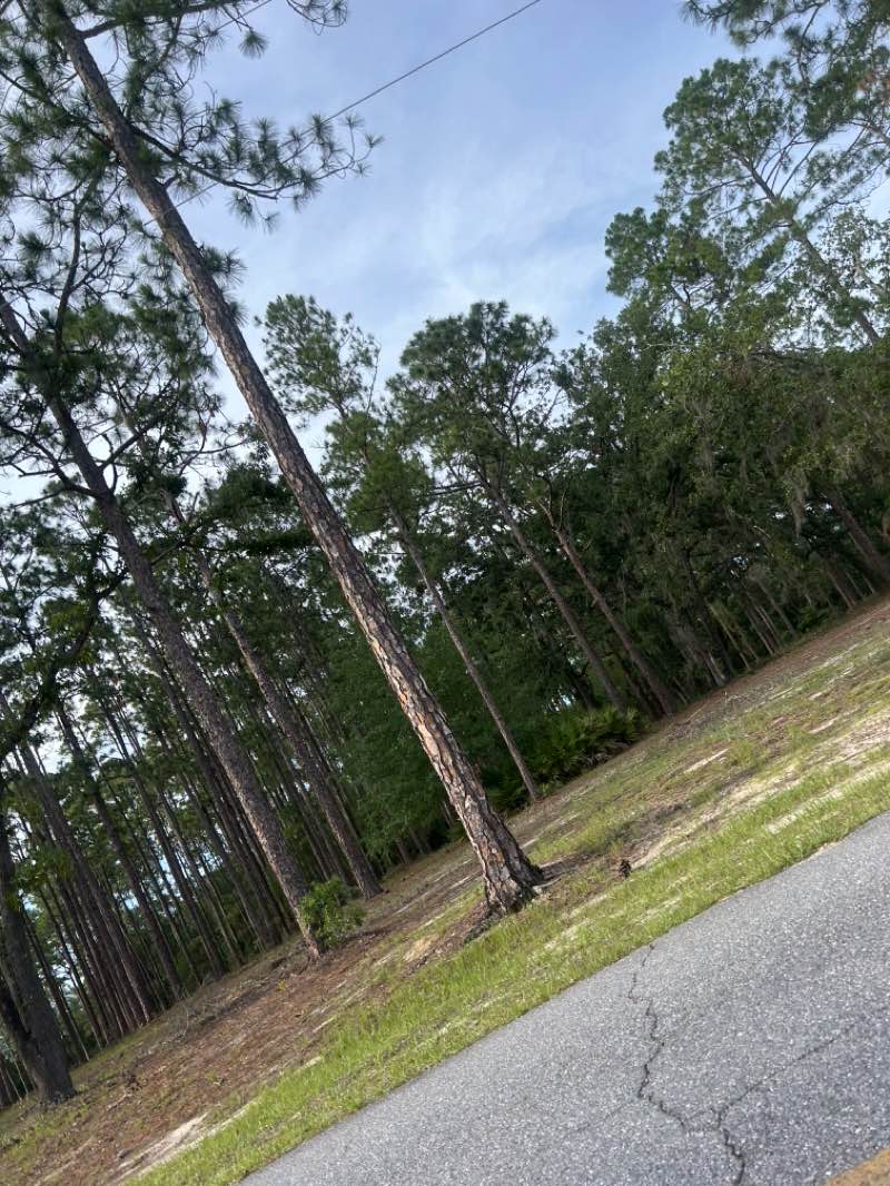 walking near me in Jack Hill State Park in summer