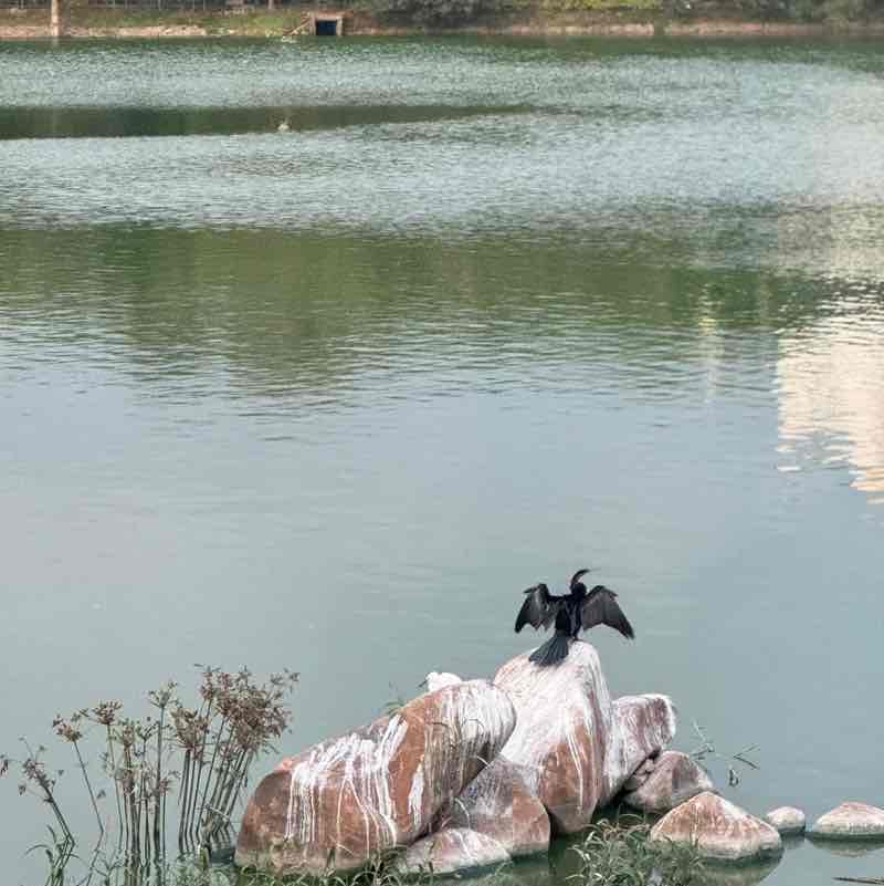 Abhinav Gadde post 2