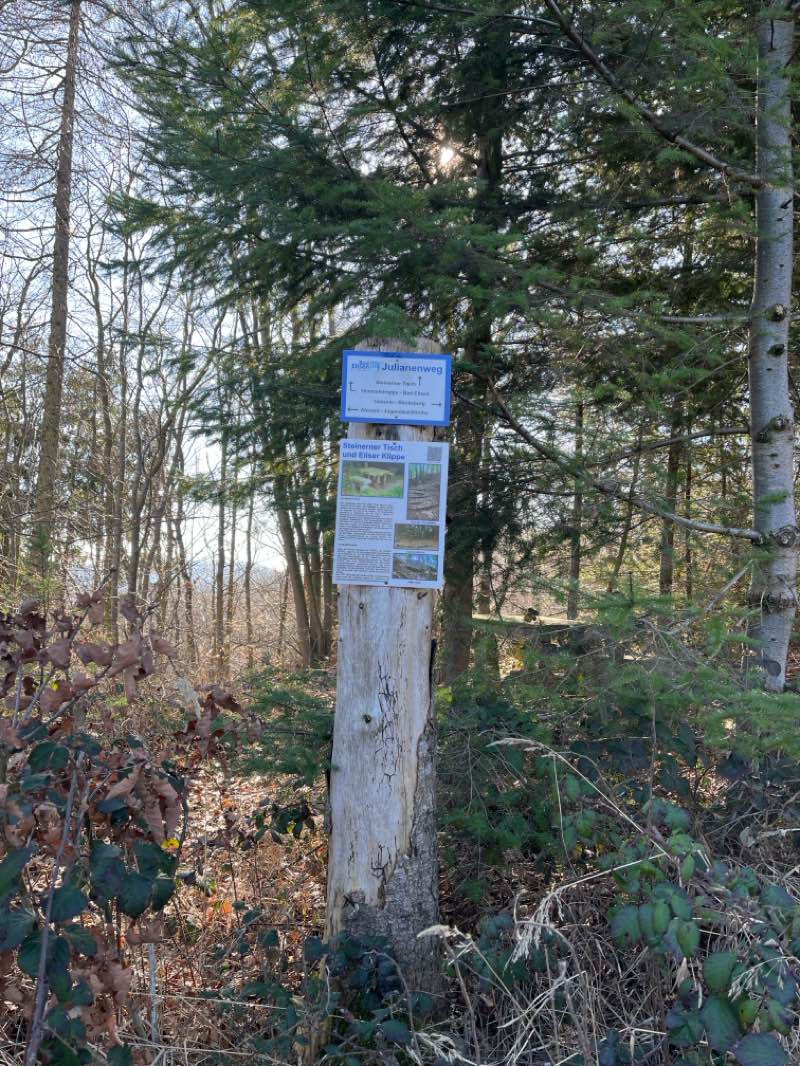 walking near me in Englischer Garten in spring