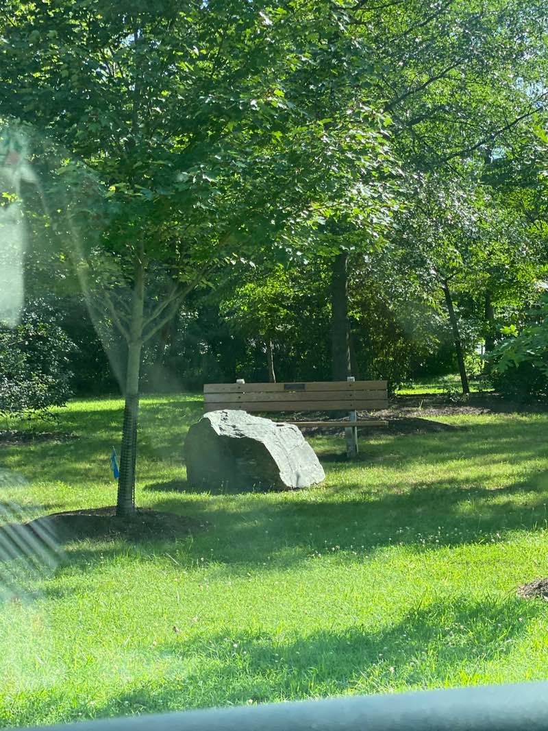 walking near me in Morgan Park in summer