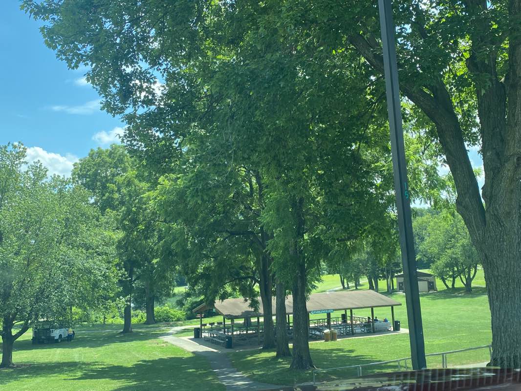 walking near me in Bohrer Park in summer
