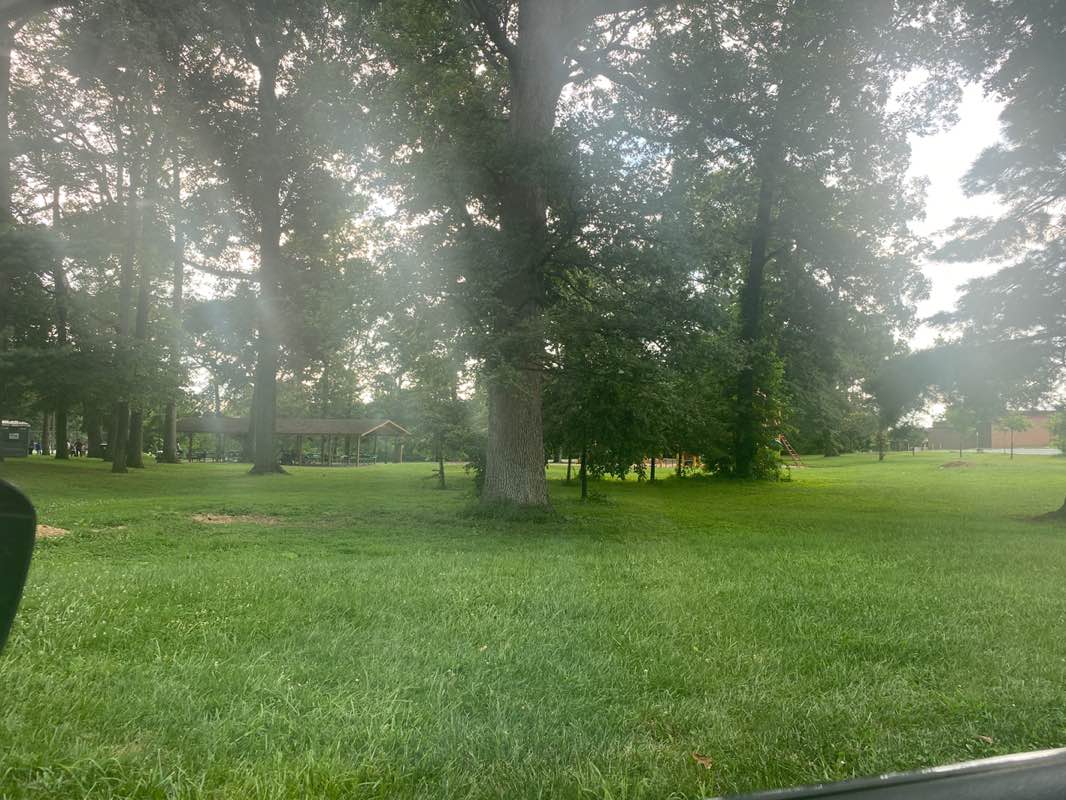 walking near me in Johnson Local Park in summer